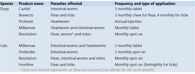 flea tick and heartworm medication