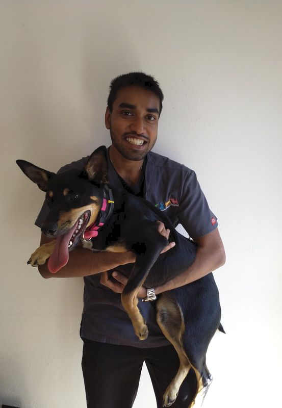 Our Team - Belconnen Animal Hospital